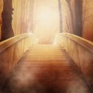 SacredBridge